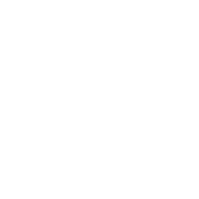 finance icon